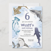 サメ！ 招待状 (正面)