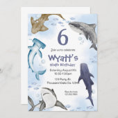 サメ! 招待状 (正面/裏面)