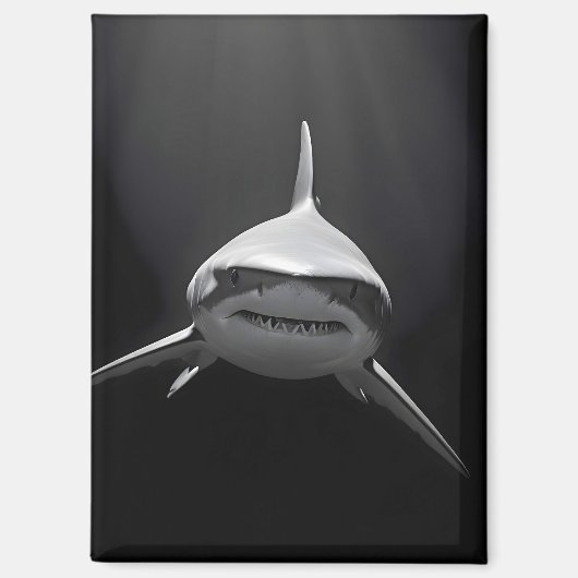 サメ 野生生物 壮大な自然 命 海 ポスター マグネット (正面)