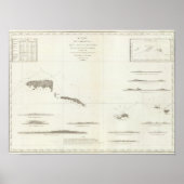 サモア諸島 ポスター (正面)