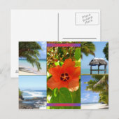 サモア ポストカード (正面/裏面)