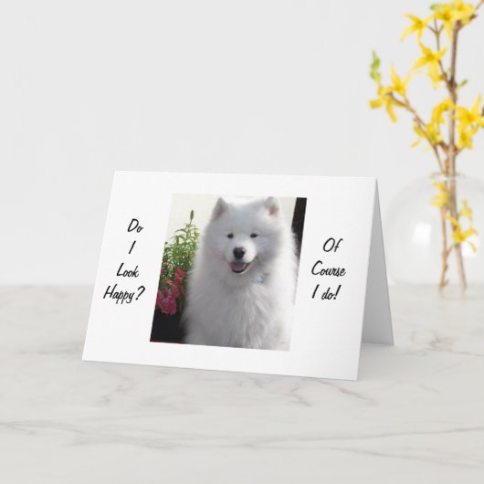 サモイドさんは「21歳」で嬉しいと言う カード (黄色い花)