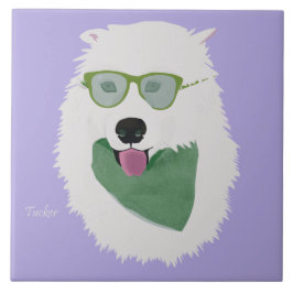 サモイドセラミックタイル タイル