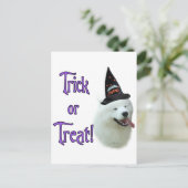 サモイドトリック ポストカード (スタンド正面)