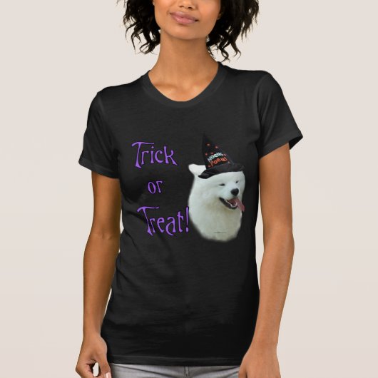 サモイドトリック Tシャツ (正面)