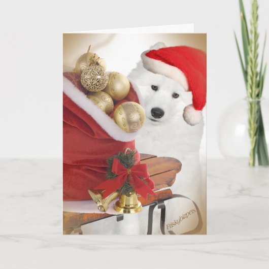 サモイドフレンズそりカード シーズンカード (正面)