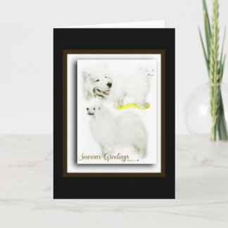 サモエイ シーズンカード