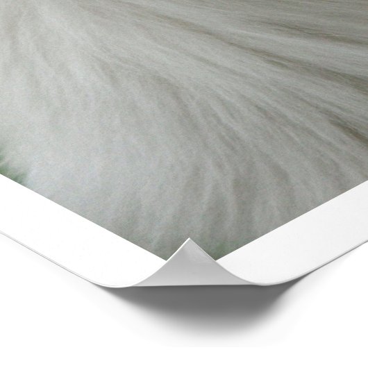 サモエイ ポスター (角)