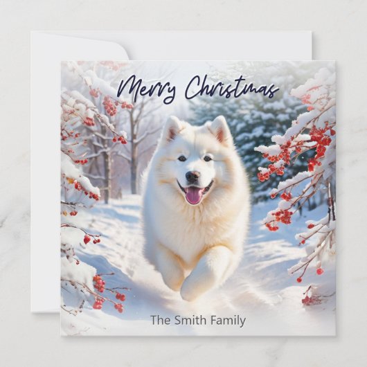 サモエドの犬と雪景色のメリークリスマスカード シーズンカード (正面)