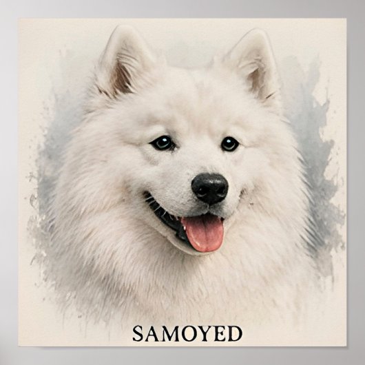 サモエドの笑顔の北極犬の肖像画 ポスター (正面)