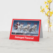 サモエド犬のクリスマスカード カード (黄色い花)