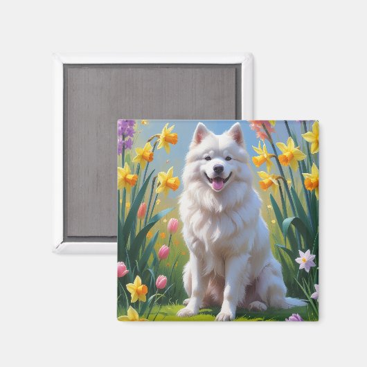 サモエド犬の春の花の絵 マグネット (正面/裏面)