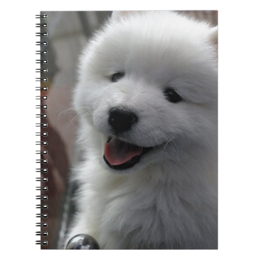 サモエド犬 ノートブック (正面)