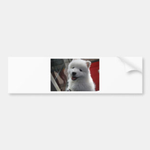 サモエド犬 バンパーステッカー