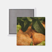 サモサ マグネット (正面/裏面)