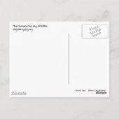 サラさんハピネスは猫を飼っている！ポストカード ポストカード (裏面)