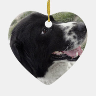 サラのブルガリアの羊飼い犬 セラミックオーナメント