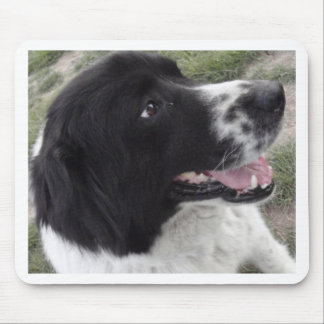 サラのブルガリアの羊飼い犬 マウスパッド