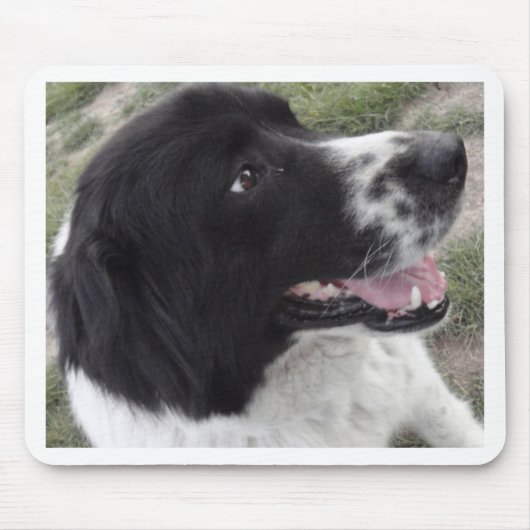 サラのブルガリアの羊飼い犬 マウスパッド (正面)