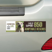 サラの聖域のバンパーステッカー バンパーステッカー (車上)