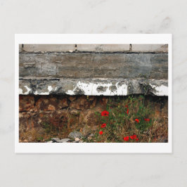 サラエボのクラプネルとポピー ポストカード