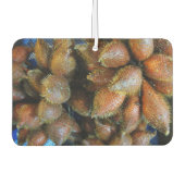 サラク[スネークフルーツ] カーエアーフレッシュナー (正面)