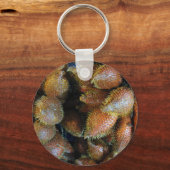 サラク[スネークフルーツ] キーホルダー (正面)