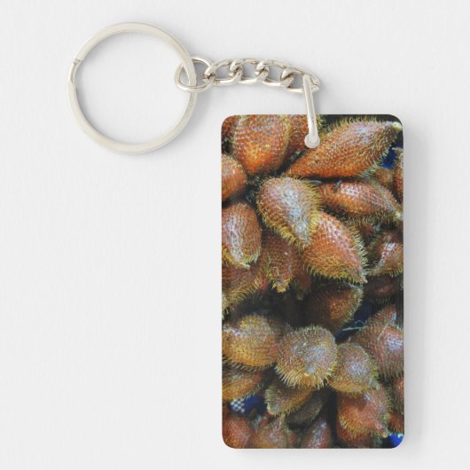 サラク[スネークフルーツ] キーホルダー (正面)