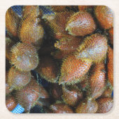 サラク[スネークフルーツ] スクエアペーパーコースター (正面)