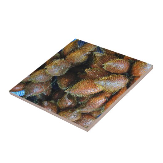 サラク[スネークフルーツ] タイル (側面)