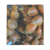 サラク[スネークフルーツ] ノートパッド (正面)