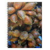 サラク[スネークフルーツ] ノートブック (正面)