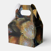 サラク[スネークフルーツ] フェイバーボックス (裏面サイド)