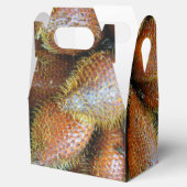 サラク[スネークフルーツ] フェイバーボックス (オープン)