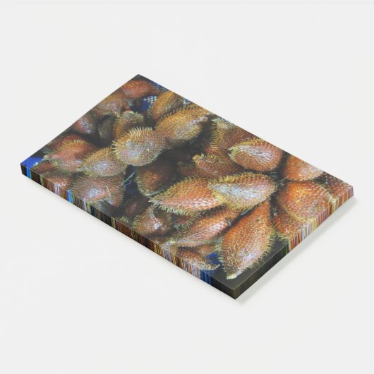 サラク[スネークフルーツ] ポストイット (アングル)