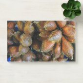 サラク[スネークフルーツ] ポストイット (オフィス)