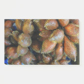 サラク[スネークフルーツ] ポストイット (正面)