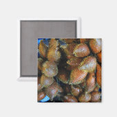 サラク[スネークフルーツ] マグネット (正面/裏面)