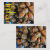 サラク[スネークフルーツ] 名刺 (正面/裏面)