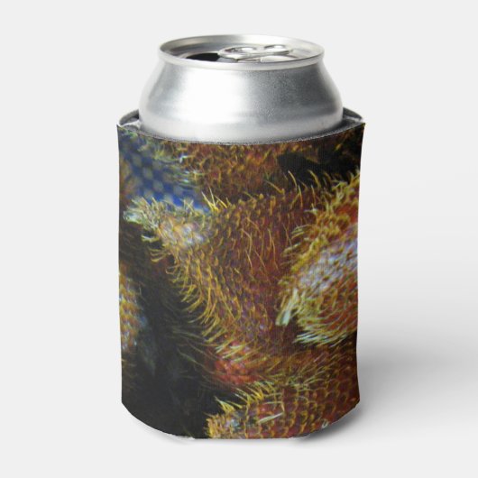 サラク[スネークフルーツ] 缶クーラー (缶正面)