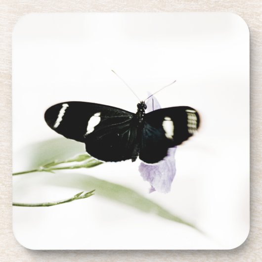 サラコルクコースター コースター (正面)