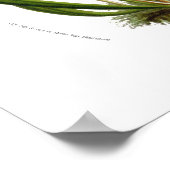 サラセニア ポスター (角)