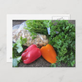サラダの固定 ポストカード (正面/裏面)