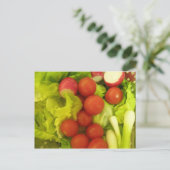 サラダ野菜はがき ポストカード (スタンド正面)