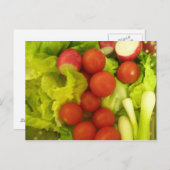 サラダ野菜はがき ポストカード (正面/裏面)