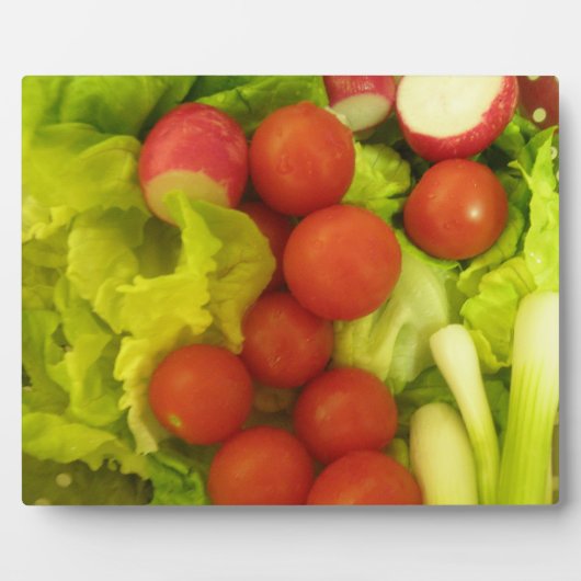 サラダ野菜プラーク フォトプラーク (正面)