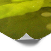 サラダ野菜プリント ポスター (角)