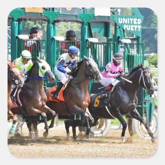 サラトガでオフ スクエアシール (正面)