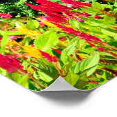 サラトガの象徴的なトラバーズステークスの芝生のジョッキー ポスター (角)