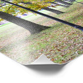 サラトガスパ州パーク フォトプリント            (角)